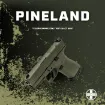 Custom Glock® 43X MOS - Pineland