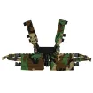 Split Chest Rig (Base Kit) M81